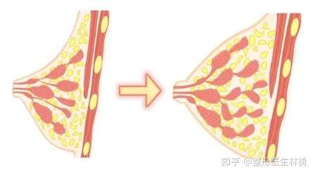 自然美学