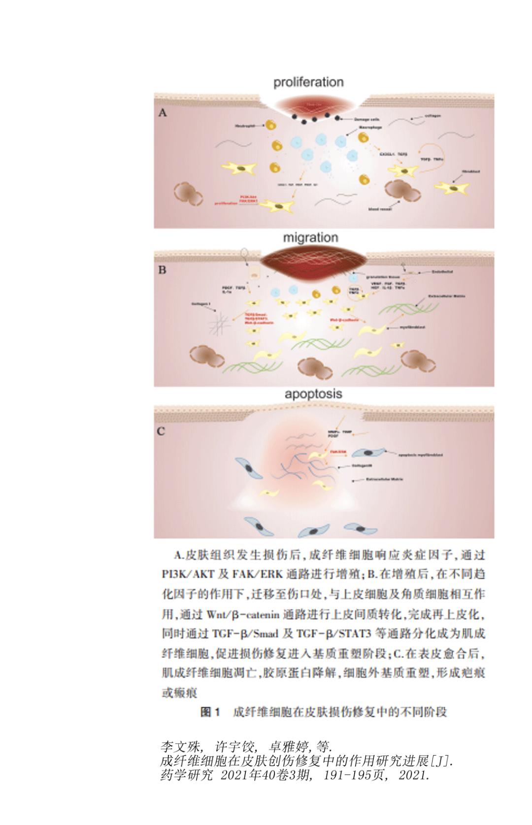 眼窝凹陷填充手术，重塑眼部轮廓的美丽艺术