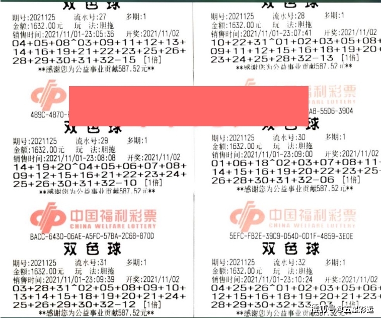 今日丹东全图3D图谜总汇福彩，探索数字背后的奥秘与惊喜