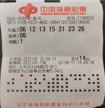 探索双色球2020113期，揭秘开奖查询的奥秘与乐趣