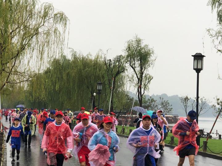 探索双色球2000期开奖奥秘，历史数据背后的秘密
