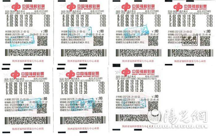 探索中国福利彩票11选5的奇妙走势，数字背后的奥秘与乐趣