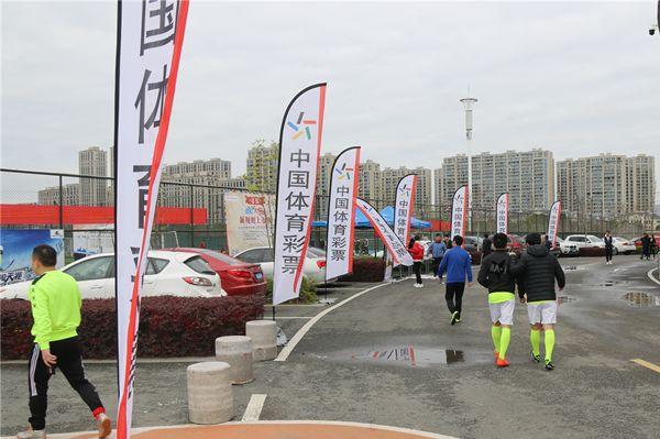 浙江风采网，解析大乐透开奖号码走势，洞悉彩民智慧