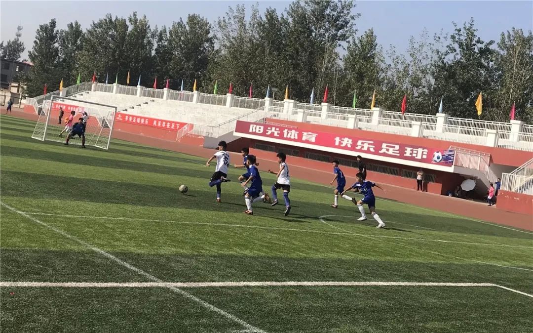 葡萄牙体育VS年轻人，激情碰撞，决战绿茵场