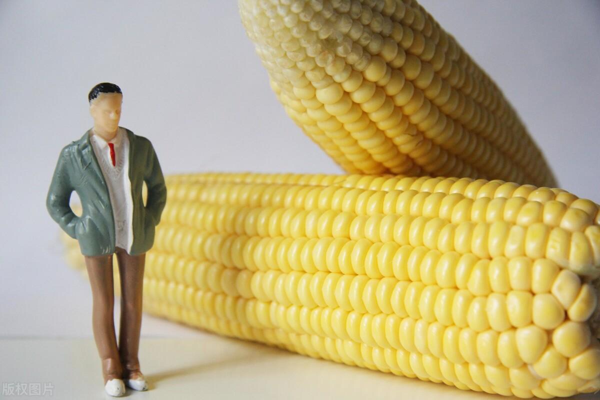 快8游戏，最新开奖走势图深度解析与策略指南