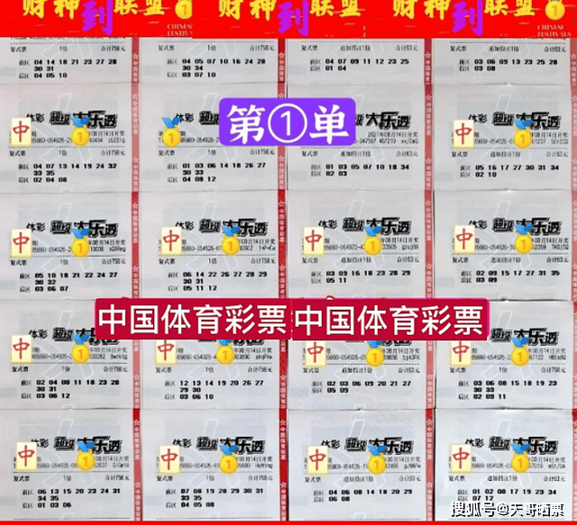 智慧与运气较量