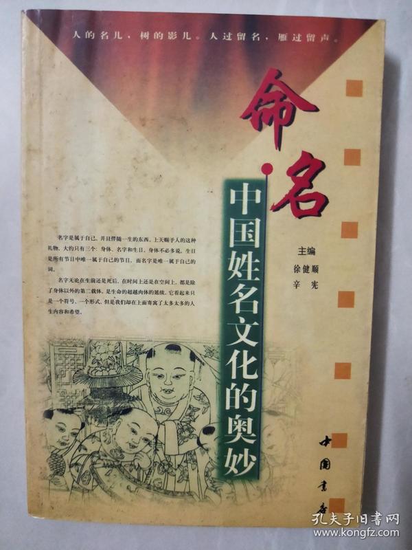 丹东解太湖天龙一语字谜，探寻文化与智慧的奥秘