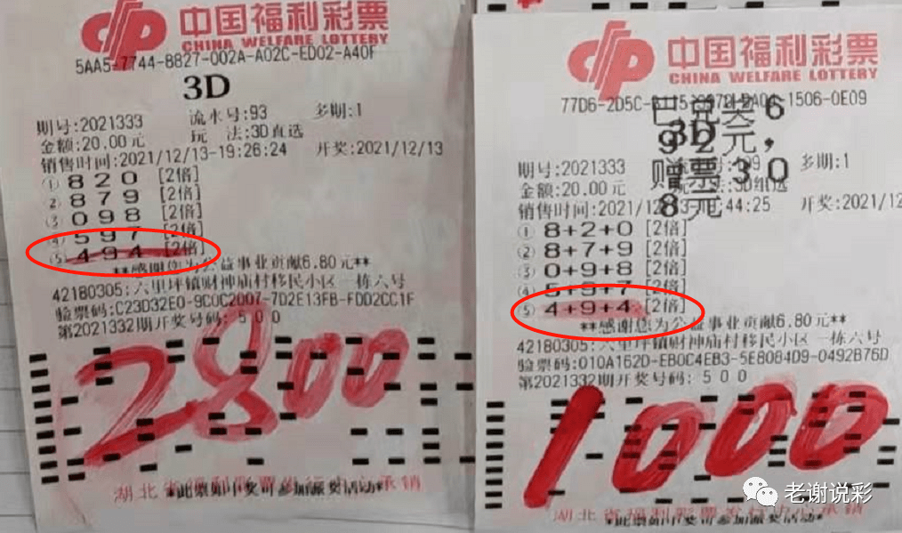 探秘双色球，开奖号码与试机号码的奥秘