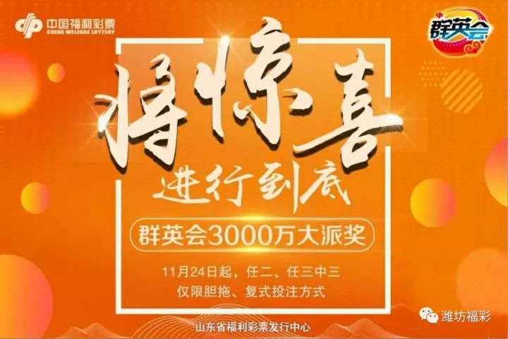 福彩蜂巢玄机三两金，探寻幸运的秘密与智慧