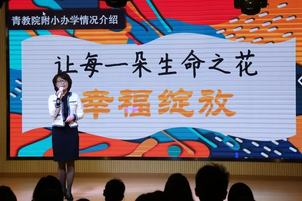 探秘三毛3图库，一个充满故事与色彩的数字世界