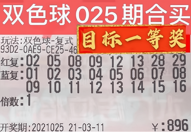 职业彩票高手，数字与运气的艺术