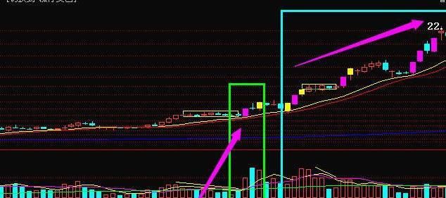 探索中国股市的璀璨明珠，揭秘中国最好的10只股票