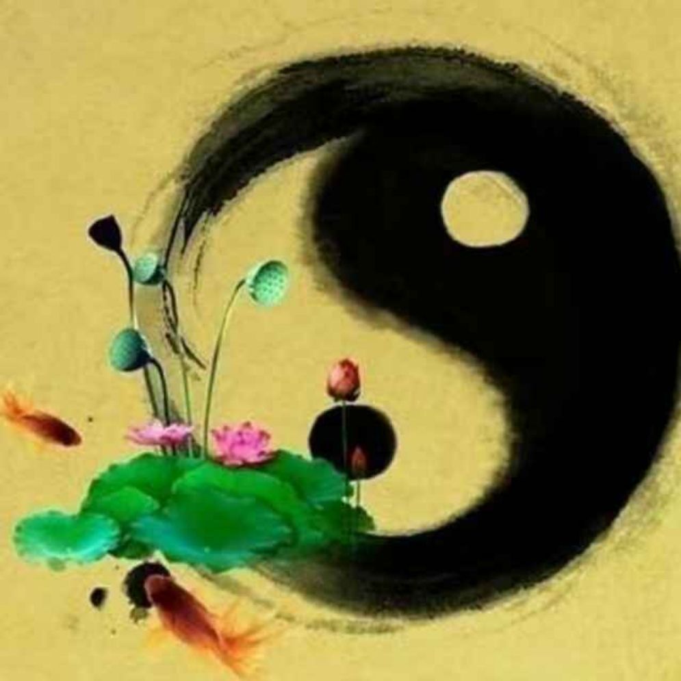 今期秋水仙子七步定乾坤字谜，解密传统文化的智慧与魅力