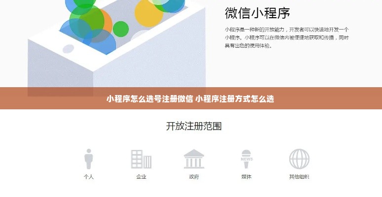 微选号，重塑电商生态的微小而强大的力量