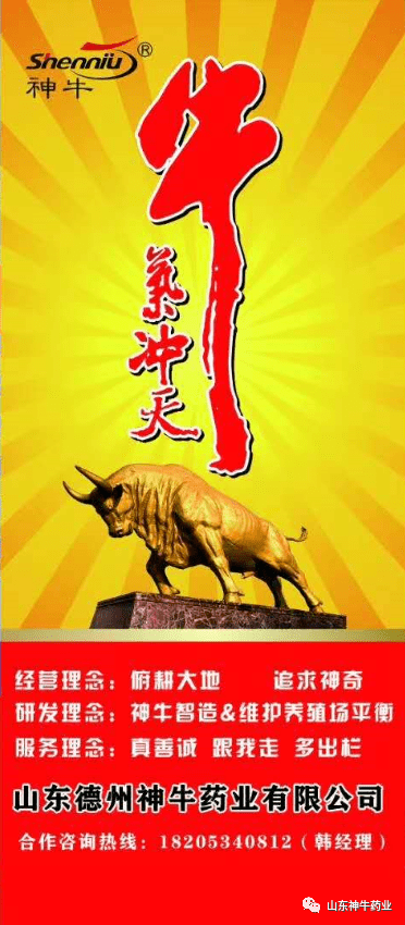 快乐十二，辽宁一定牛——探寻东北的活力与希望