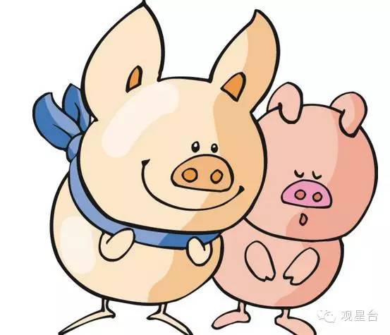 2022年香港6合开奖官网，数字背后的真相与警示