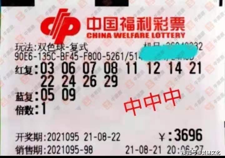 双色球近期开奖信息深度解析与走势图洞察