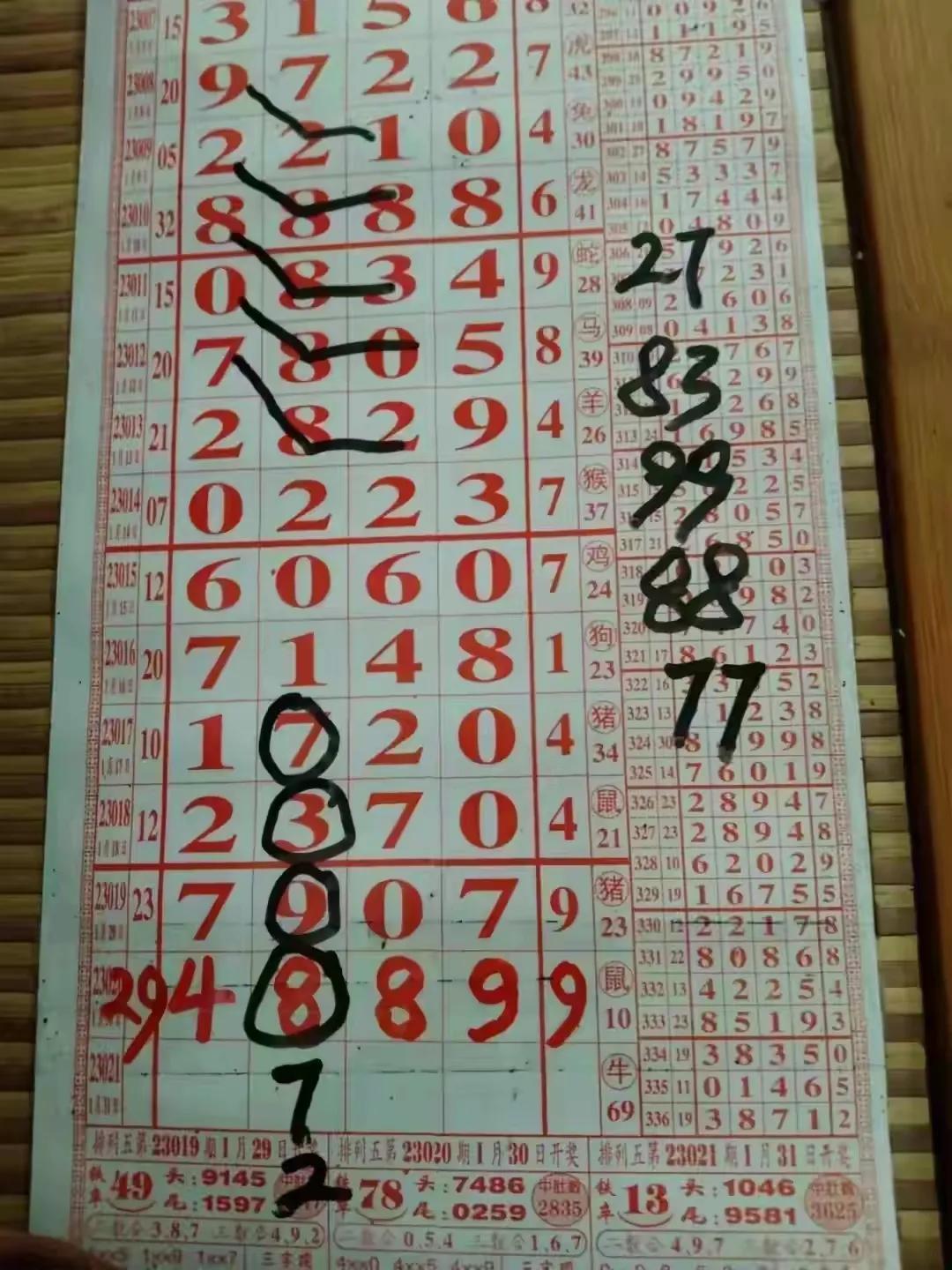 福建体育彩票31选七走势图论坛，揭秘数字背后的智慧与乐趣