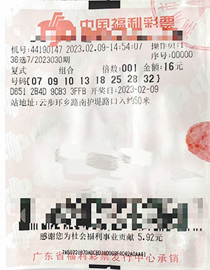 广东南粤风采最新开奖结果，揭秘彩票背后的故事与影响