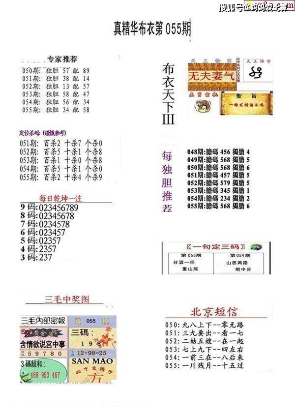 福彩三地布衣图库大全，揭秘彩票背后的智慧与乐趣