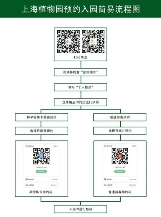 探索新奥门开彩结果，号码背后的奥秘与查询方式噢门开彩结果