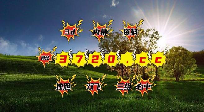 探索新奥门开彩结果，简单易懂又好看的图片大全集解析噢门开彩结果